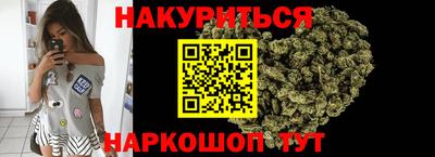 индика Владикавказ