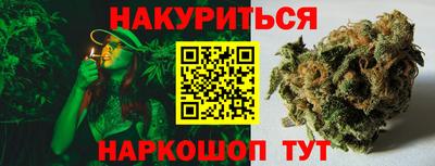 индика Владикавказ