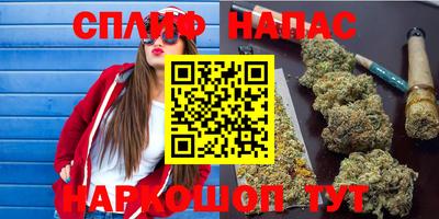 индика Владикавказ