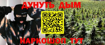 индика Владикавказ