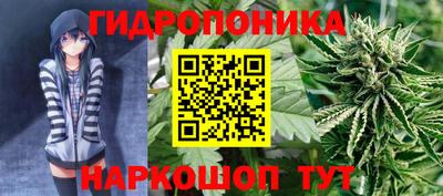 мяу мяу мука Владивосток