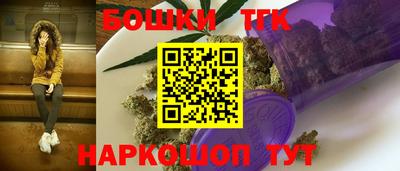 индика Владикавказ