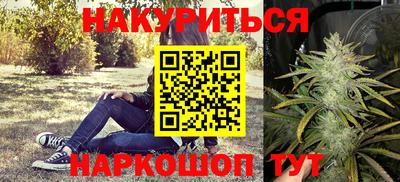 индика Владикавказ