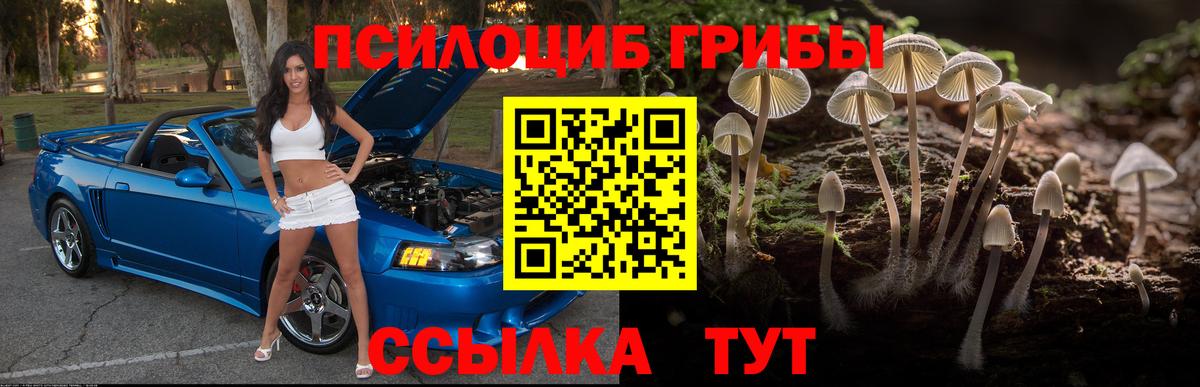 Псилоцибиновые грибы ЛСД Черемхово