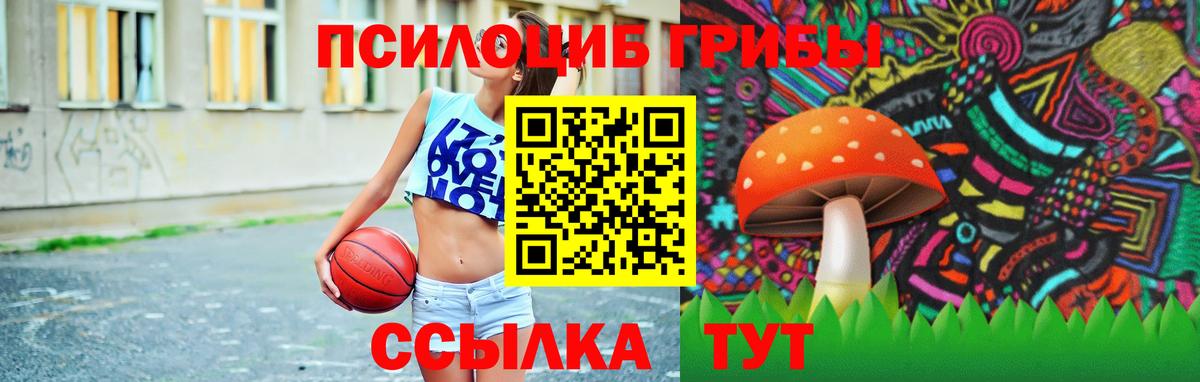 Псилоцибиновые грибы мухоморы  Галлюциногенные грибы прущие грибы  Вход с VPN  Черемхово 